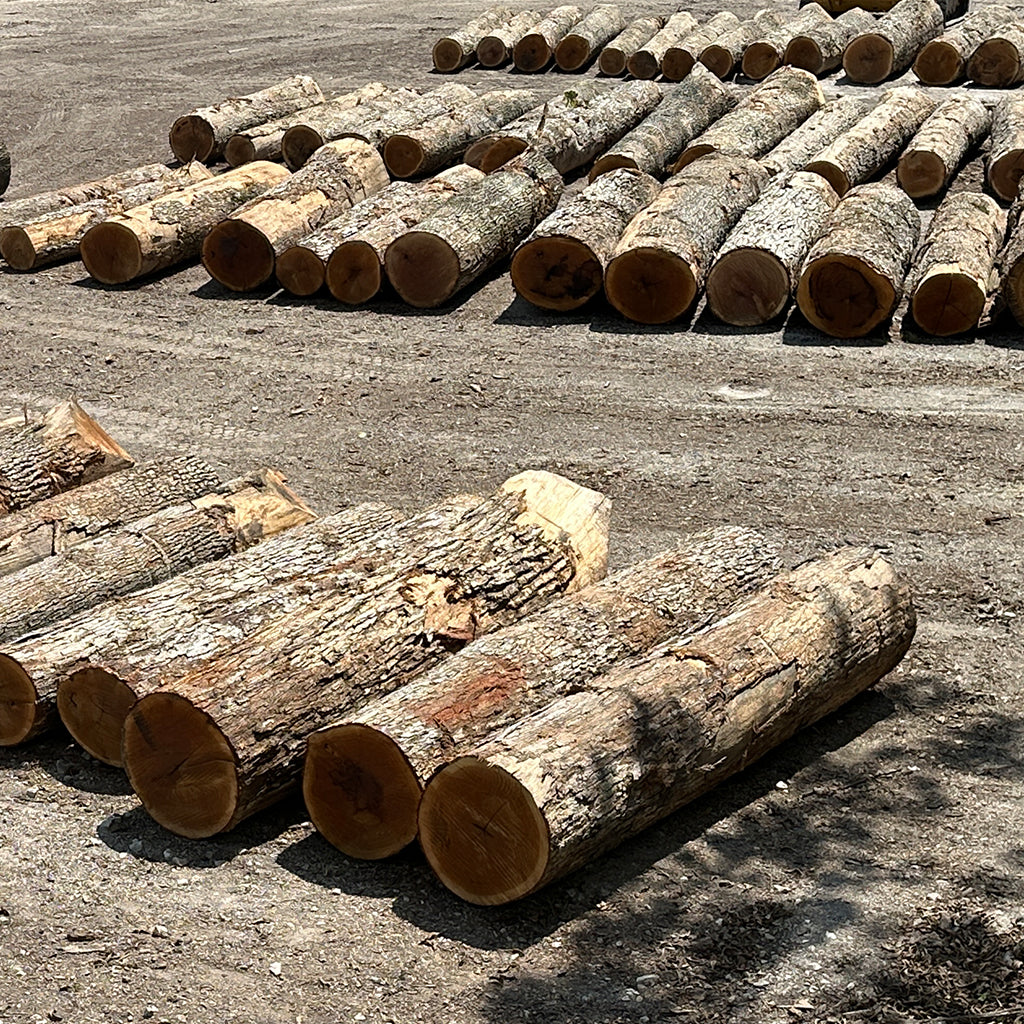 White Oak Hardwood Stave Logs from AmericanBornHardwoods.com