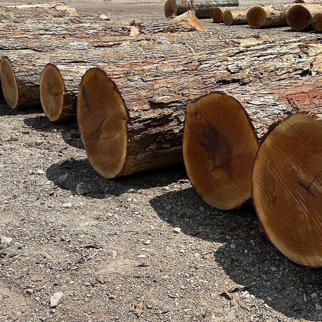 Hardwood Stave Logs