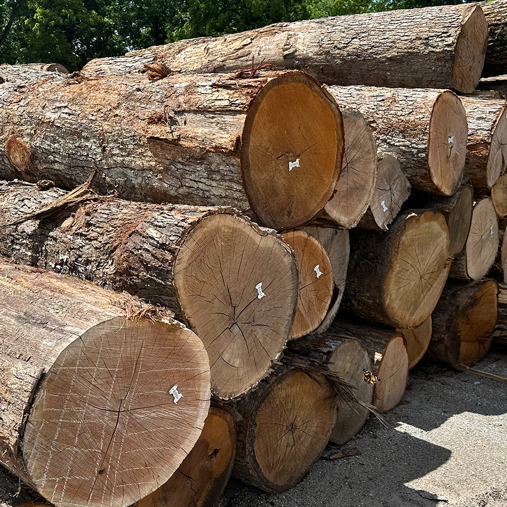 White Oak Table Top Logs