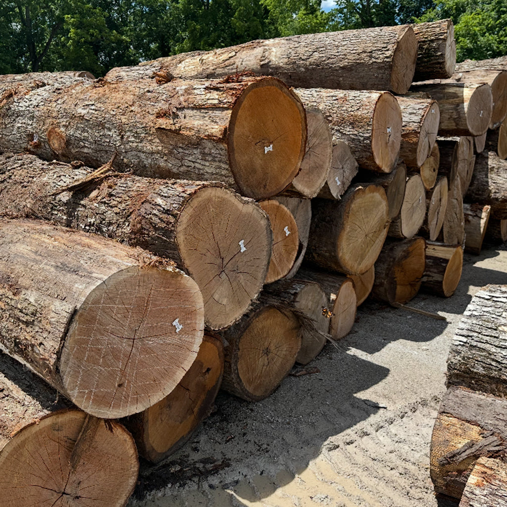 White Oak Tabletop Logs