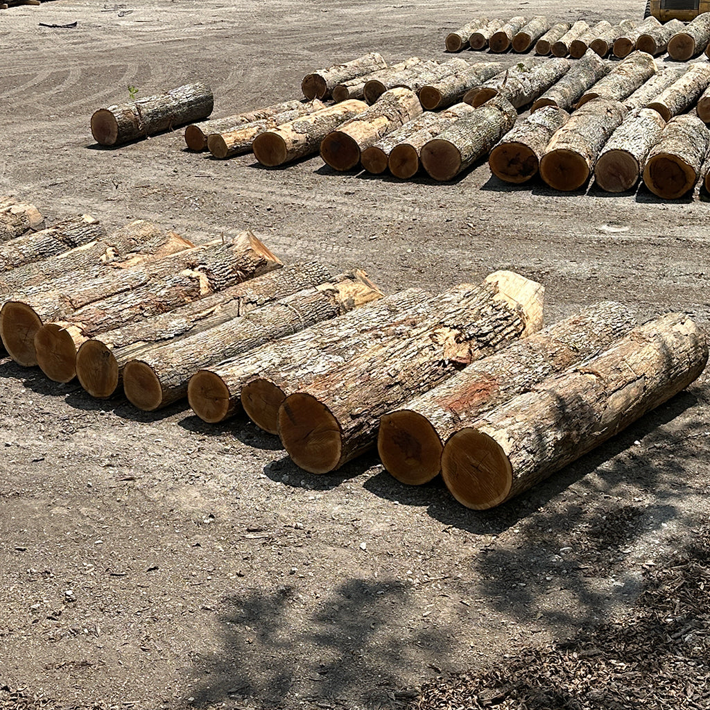 White Oak Stave Logs