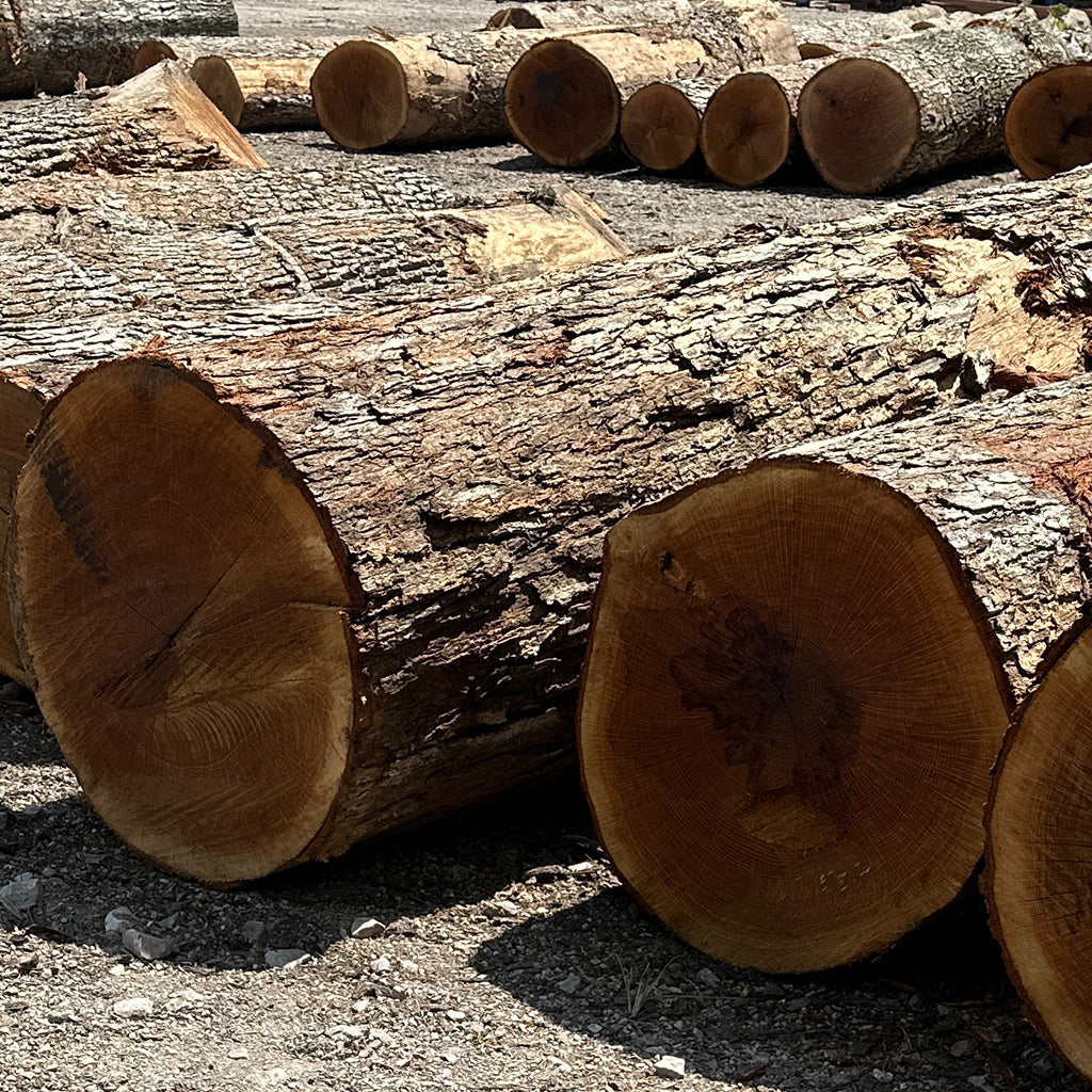 White Oak Stave Logs